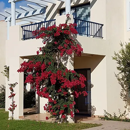 Bimbolla Apartment